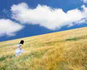 最‌新‌SSL证‌书‌插﻿件​